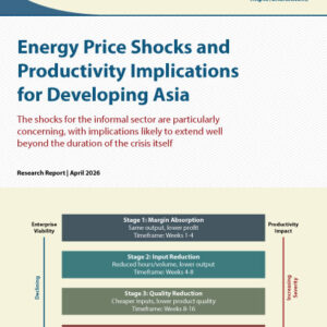 Energy Price Shocks and Productivity in Asia